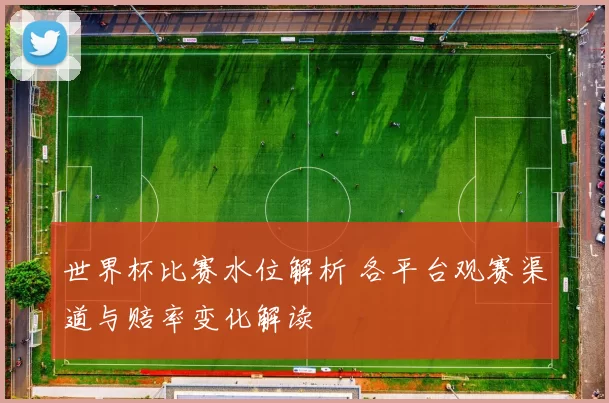 世界杯比赛水位解析 各平台观赛渠道与赔率变化解读