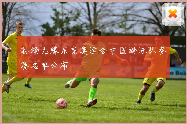 孙杨无缘东京奥运会中国游泳队参赛名单公布