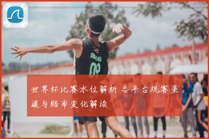 世界杯比赛水位解析 各平台观赛渠道与赔率变化解读