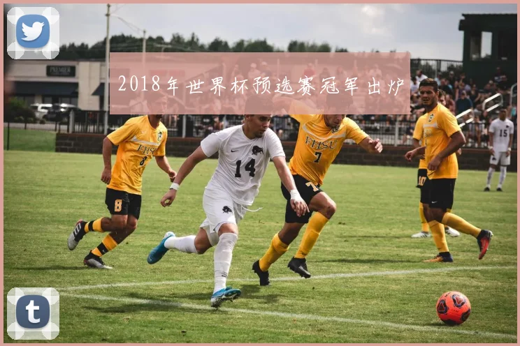 2018年世界杯预选赛冠军出炉