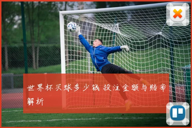 世界杯买球多少钱 投注金额与赔率解析