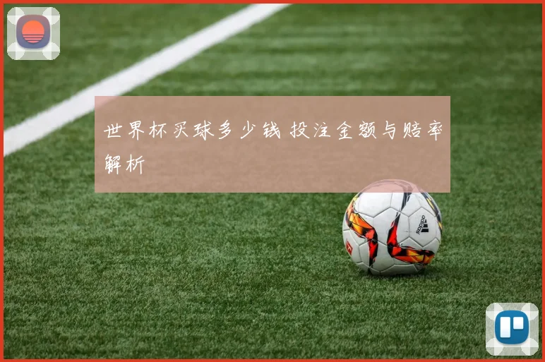 世界杯买球多少钱 投注金额与赔率解析