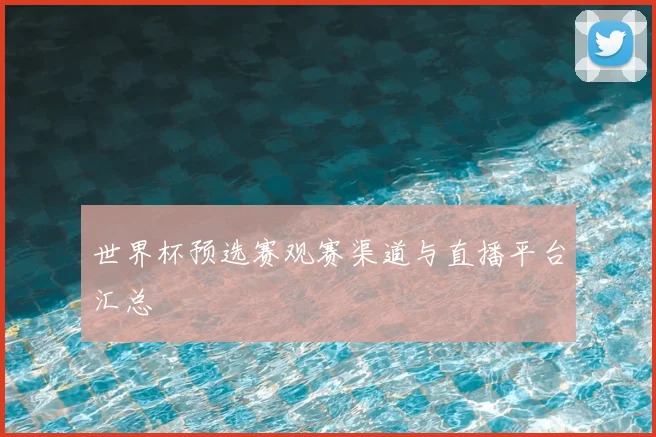 世界杯预选赛观赛渠道与直播平台汇总