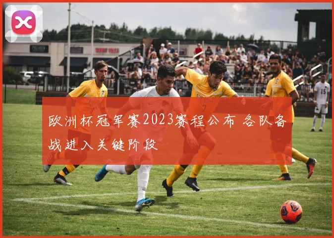 欧洲杯冠军赛2023赛程公布 各队备战进入关键阶段