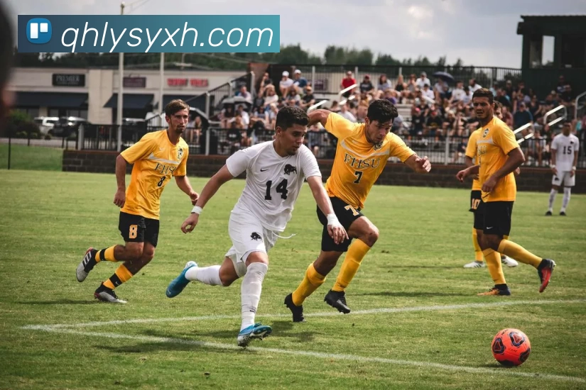 好博官网登录入口 - 好博(中国)发展历程